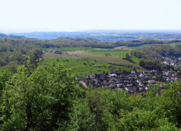 023 - Muttenz-Ruettihard